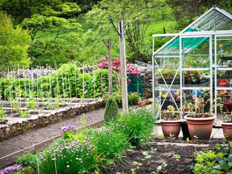 Is It Better To Grow Vegetables In A Greenhouse Or Outside?