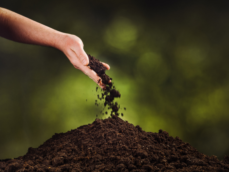 Can Potting Soil Be Used Instead Of Gardening Soil?