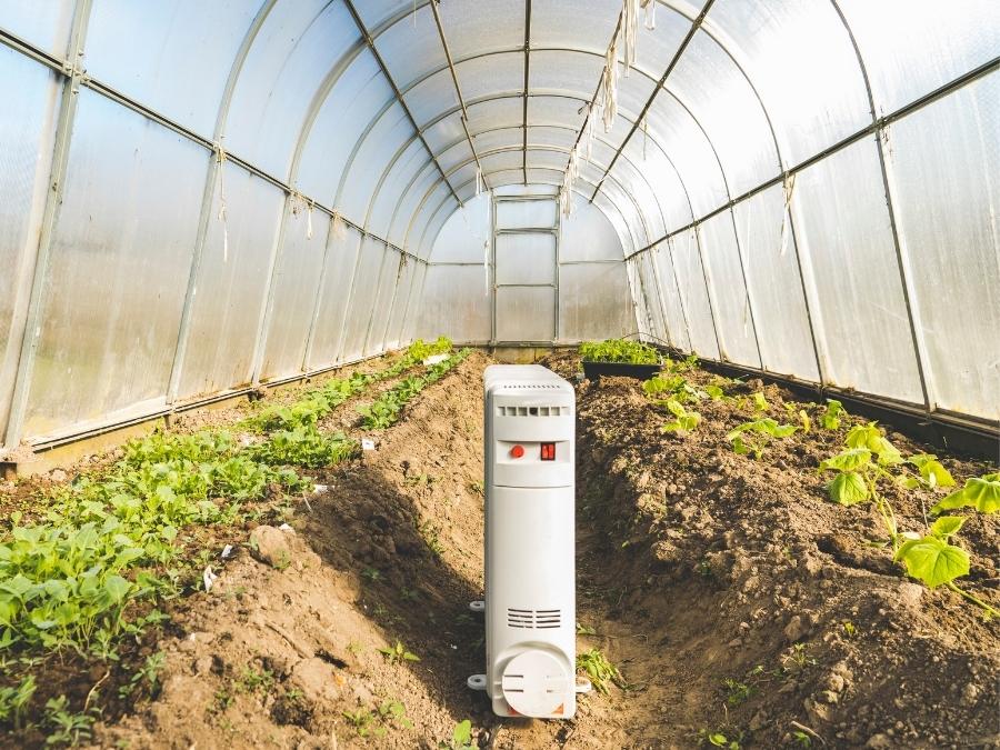 Inside of greenhouse with a heater. 