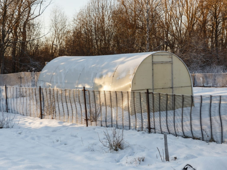 Top 10 Ways To Keep Your Greenhouse Warm In The Winter