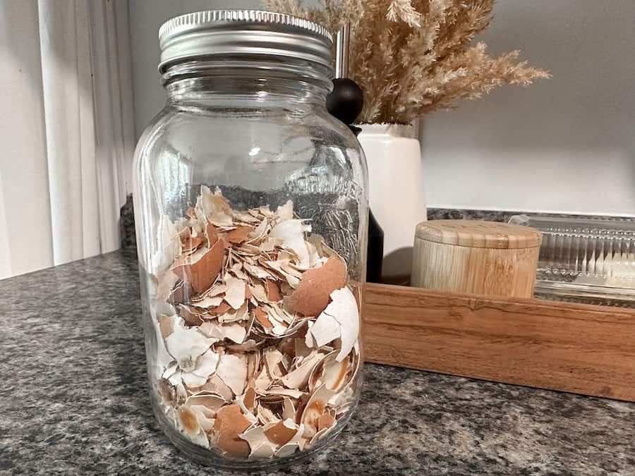 Crushed eggshells stored in mason jar for the garden. 