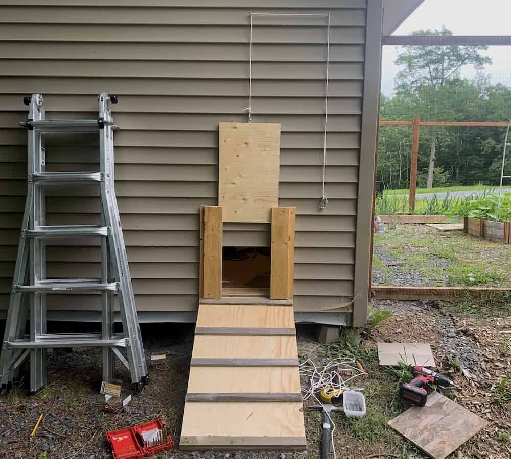 The chicken door from the outside with a chicken ramp. 