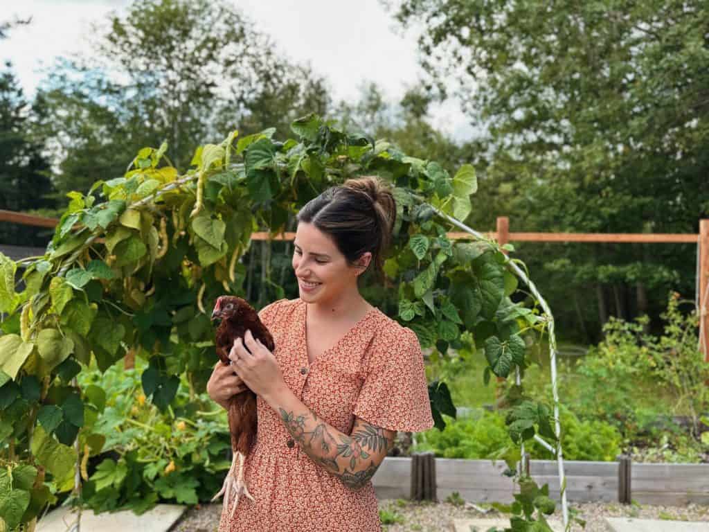 Julia holding a Rhode island red backyard chicken in a vegetable garden.