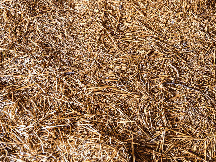 Straw Bedding For Chicken Coops