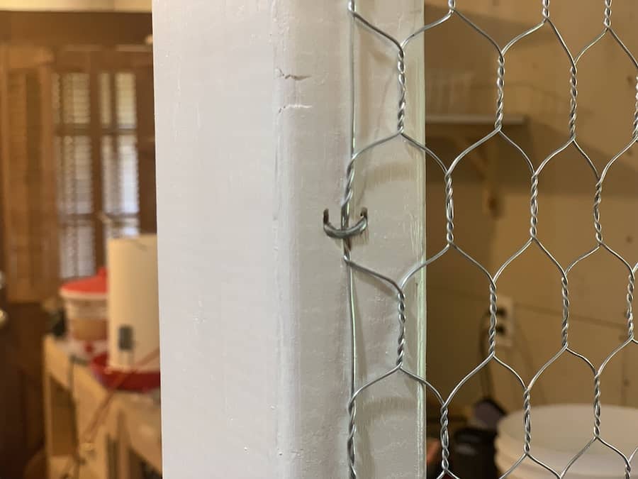 Staples used to attach the chicken wire to the chicken coop.