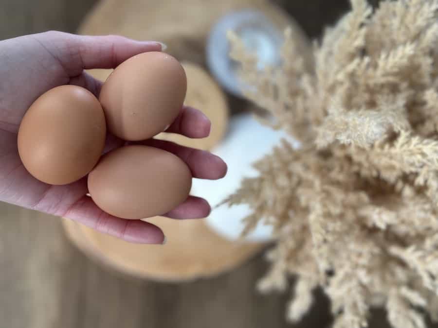 Three brown eggs in Julia's hands from her backyard chickens with a dried floral plant in the background.