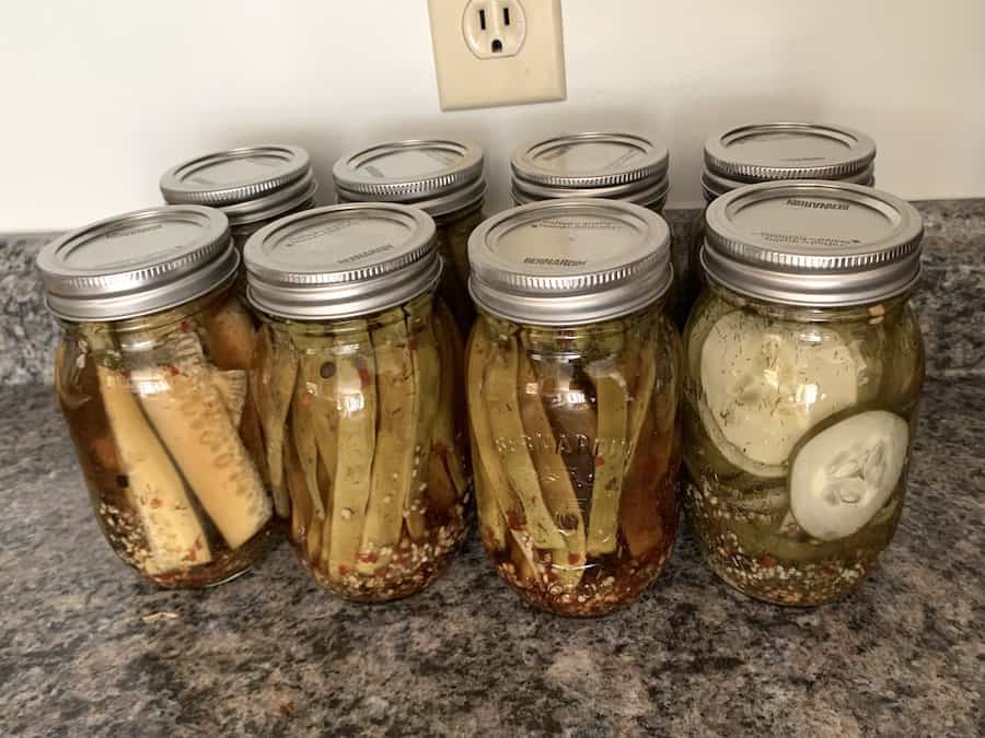 Homesteading from your apartment idea: 8 jars of pickled vegetables that can be canned within any space.