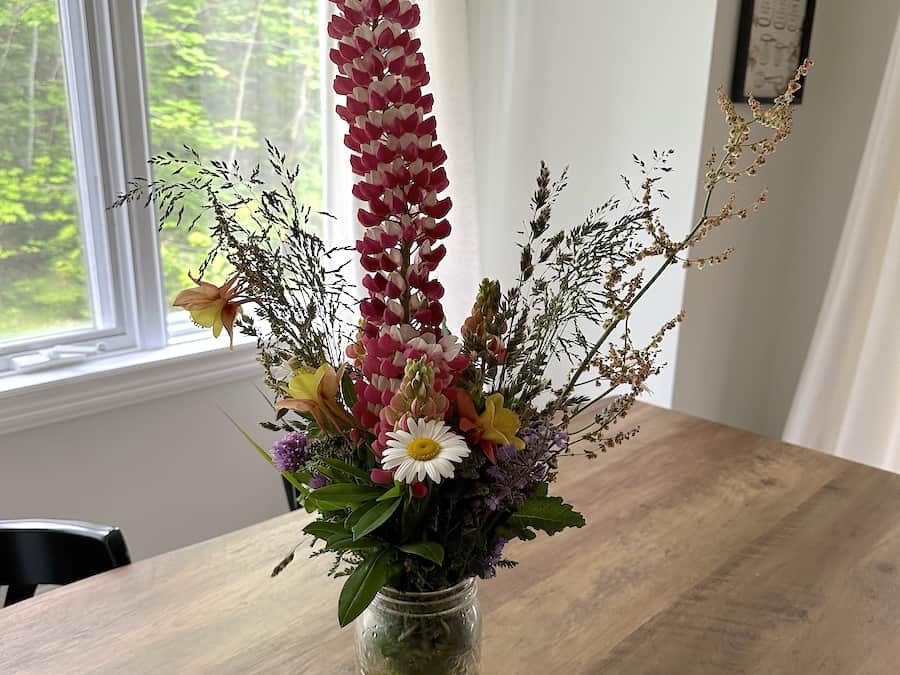 A wildflower bouquet from Soil Mates Farms