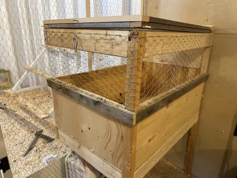 Chicken brooder/hospital