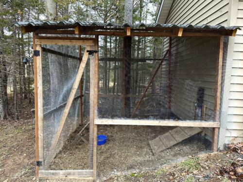 How To Build A Chicken Run – Homestead Fox