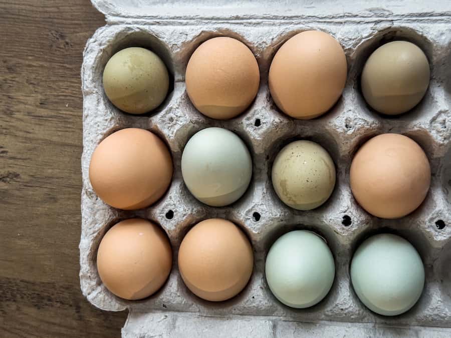 A carton of different coloured chicken eggs: brown, green and blue
