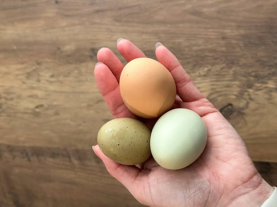 Three different coloured chicken eggs in Julia's hand: Brown, green and blue.