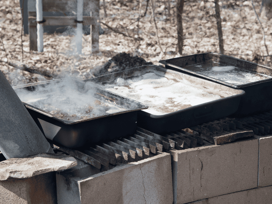 metal containers of sap boiling over a fire