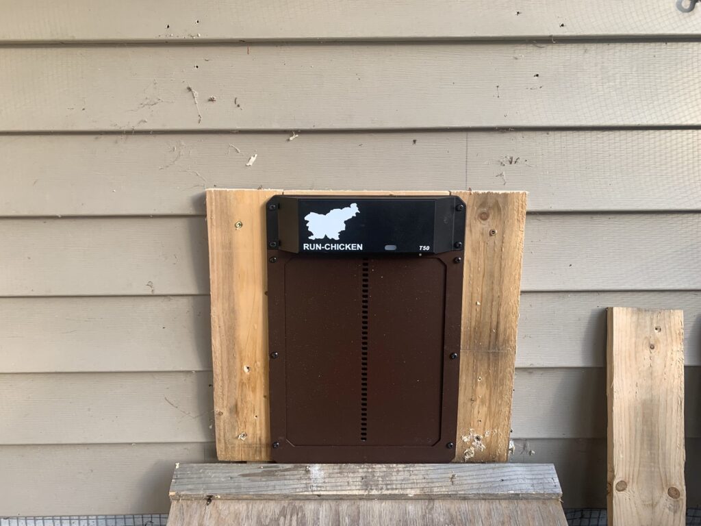 Our brown Run-Chicken automatic door fully installed to our chicken coop using a wooden frame.